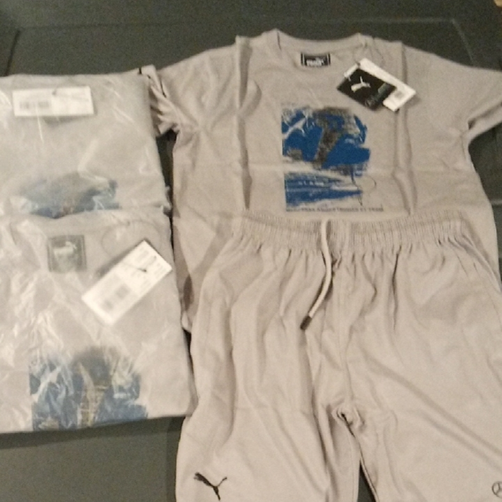 Puma Gray and Blue Short Sleeve Tee